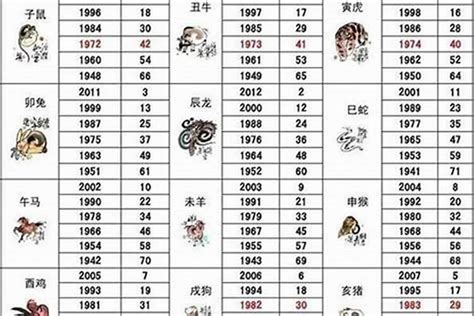 92年生效|1992年属什么生肖配对 1992年和什么属相最配